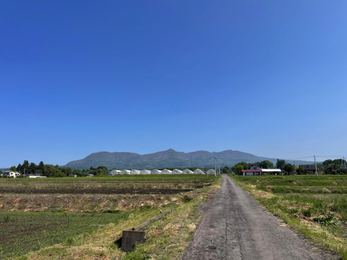 5月13日(火)　AM 8:42　前橋市苗ケ島町