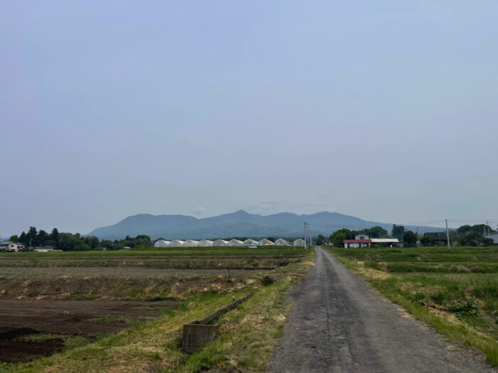 5月14日(水)　AM 9:31　前橋市苗ケ島町