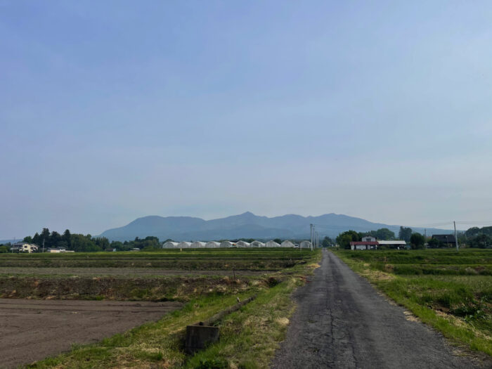 5月16日(金)　AM 7:00　前橋市苗ケ島町