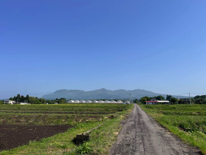 5月20日(火)　AM 8:09　前橋市苗ケ島町