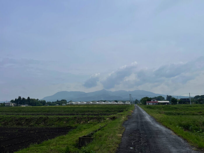 5月22日(木)　AM 8:51　前橋市苗ケ島町
