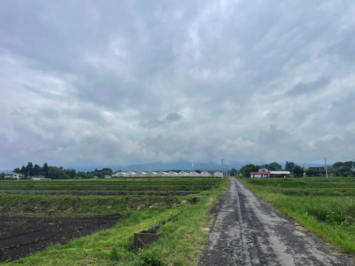 5月23日(金)　AM 8:51　前橋市苗ケ島町