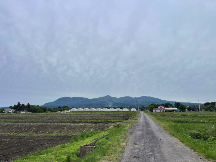 5月26日(月)　AM 10:15　前橋市苗ケ島町