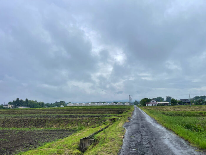 5月30日(金)　AM 9:32　前橋市苗ケ島町