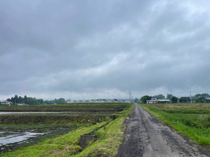 5月31日(土)　AM 8:53　前橋市苗ケ島町