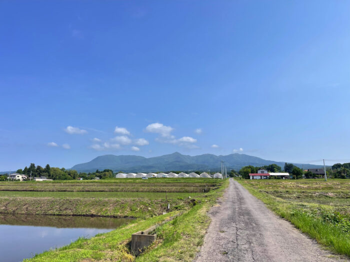 6月2日(月)　AM 8:45　前橋市苗ケ島町