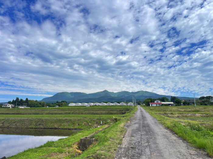 6月4日(水)　AM 9:01　前橋市苗ケ島町