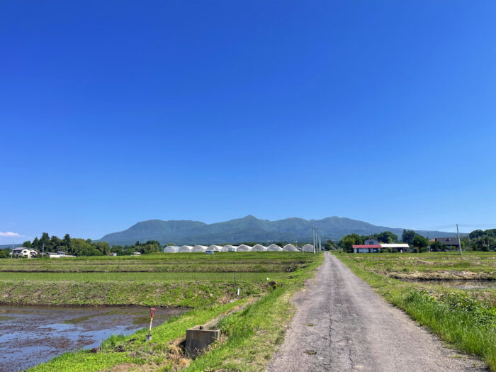 6月5日(木)　AM 8:55　前橋市苗ケ島町