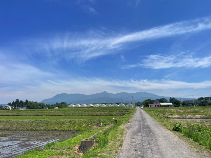 6月6日(金)　AM 9:43　前橋市苗ケ島町