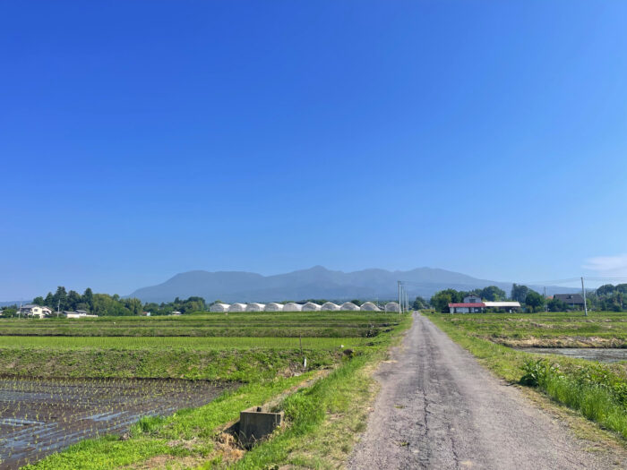 6月7日(土)　AM 8:10　前橋市苗ケ島町