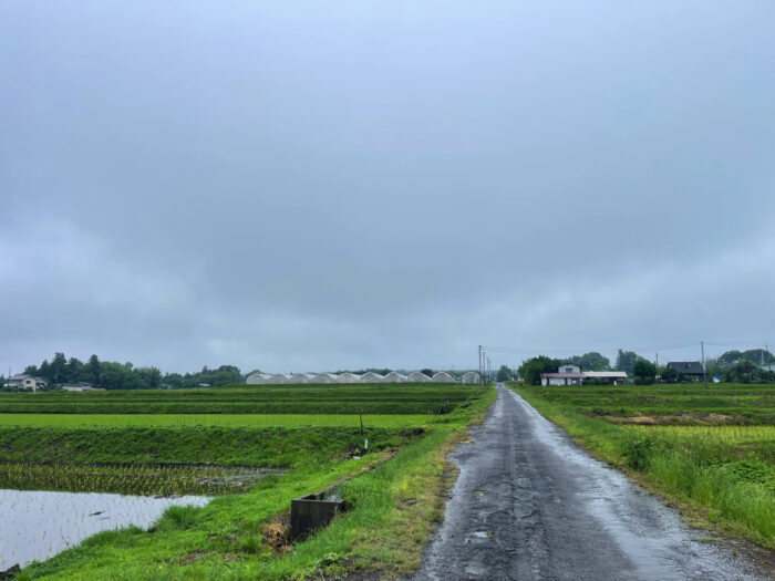 6月11日(水)　AM 9:36　前橋市苗ケ島町