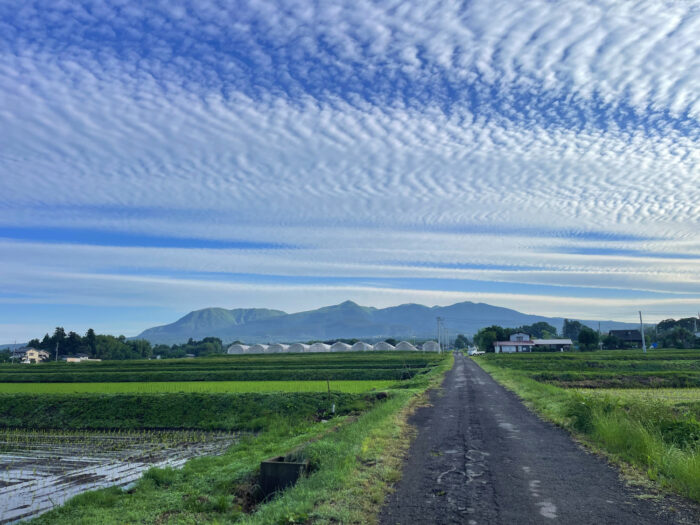 6月12日(木)　AM 6:04　前橋市苗ケ島町