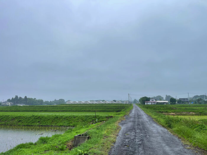 6月14日(土)　AM 6:49　前橋市苗ケ島町