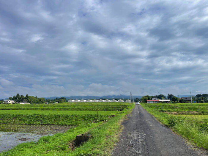 6月15日(日)　AM 8:19　前橋市苗ケ島町