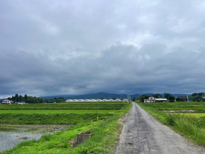 6月16日(月)　AM 9:07　前橋市苗ケ島町