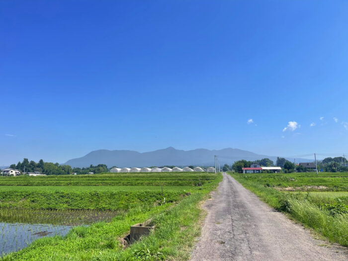 6月17日(火)　AM 9:12　前橋市苗ケ島町