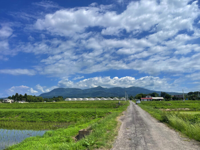 6月18日(水)　AM 9:04　前橋市苗ケ島町