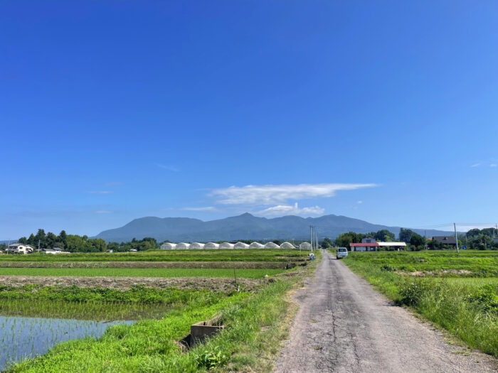 6月19日(木)　AM 8:39　前橋市苗ケ島町