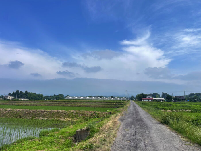 6月23日(月)　AM 8:44　前橋市苗ケ島町