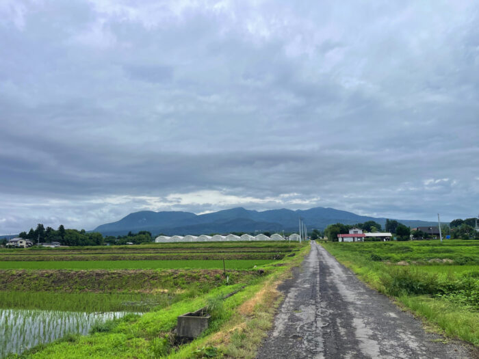 6月24日(火)　AM 9:41　前橋市苗ケ島町