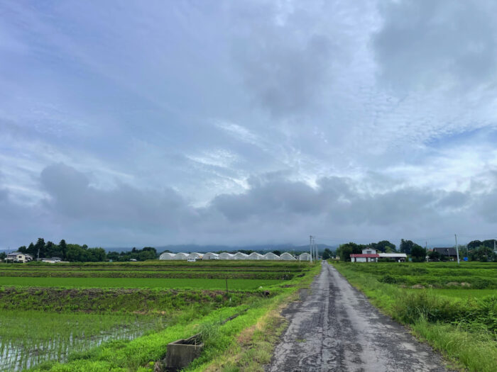 6月26日(木)　AM 8:03　前橋市苗ケ島町