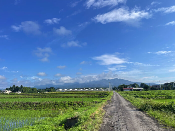 6月27日(金)　AM 6:59　前橋市苗ケ島町