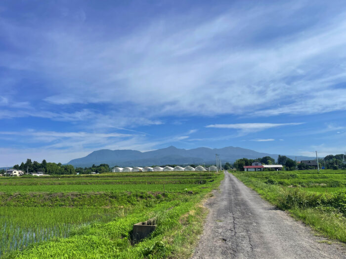 6月28日(土)　AM 8:16　前橋市苗ケ島町
