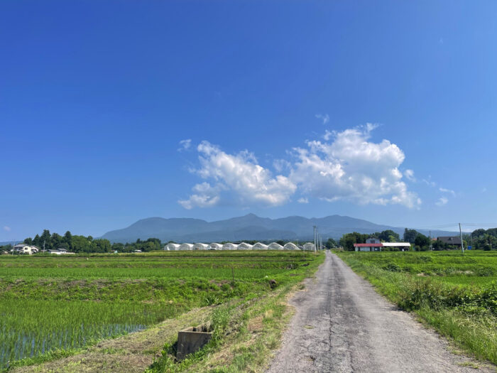 6月29日(日)　AM 8:54　前橋市苗ケ島町
