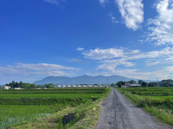 6月30日(月)　AM 7:01　前橋市苗ケ島町