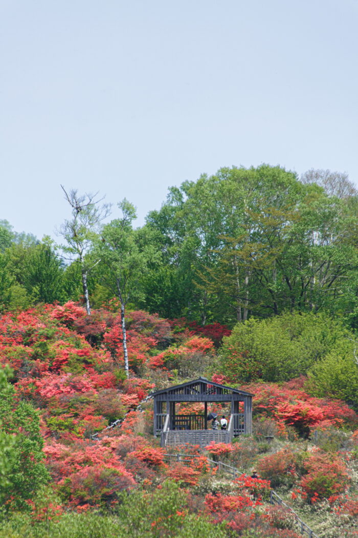 見晴山