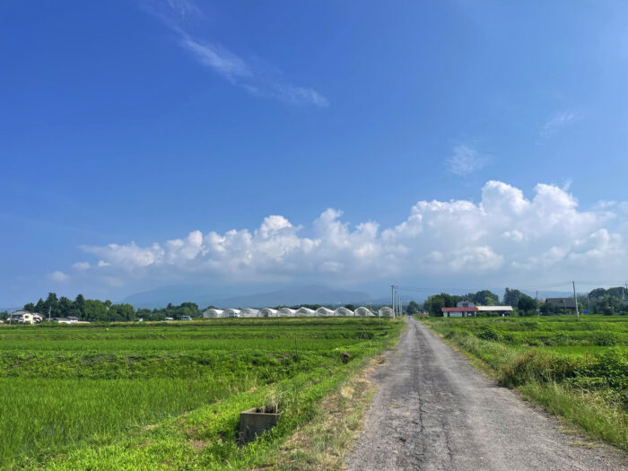 7月3日(木)　AM 8:29　前橋市苗ケ島町