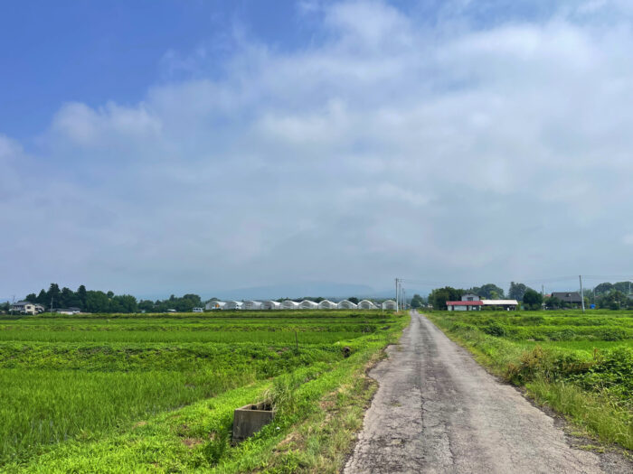 7月4日(金)　AM 9:27　前橋市苗ケ島町