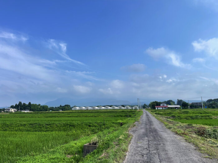 7月6日(日)　AM 8:29　前橋市苗ケ島町