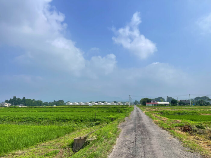 7月9日(水) AM 8:52 前橋市苗ケ島町