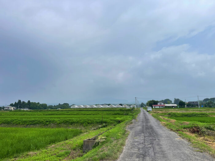 7月10日(木) AM 9:44 前橋市苗ケ島町