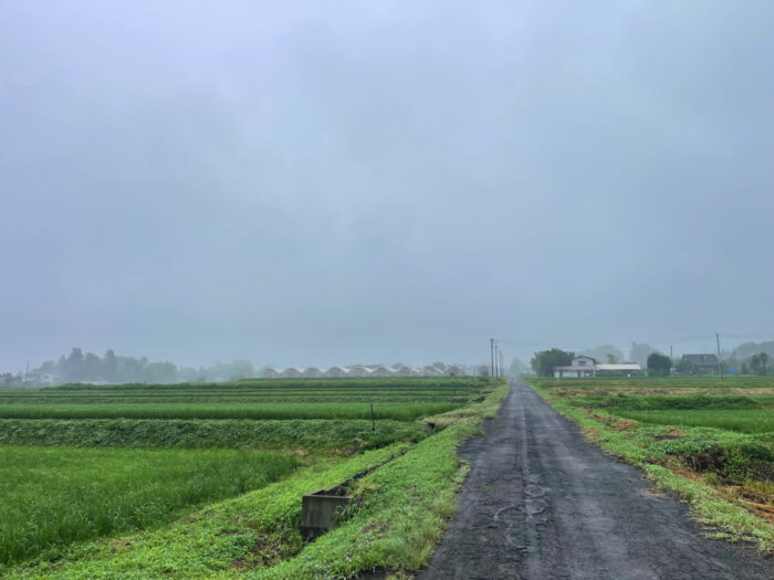 7月12日(土)　AM 7:18　前橋市苗ケ島町