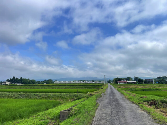 7月13日(日)　AM 8:45　前橋市苗ケ島町