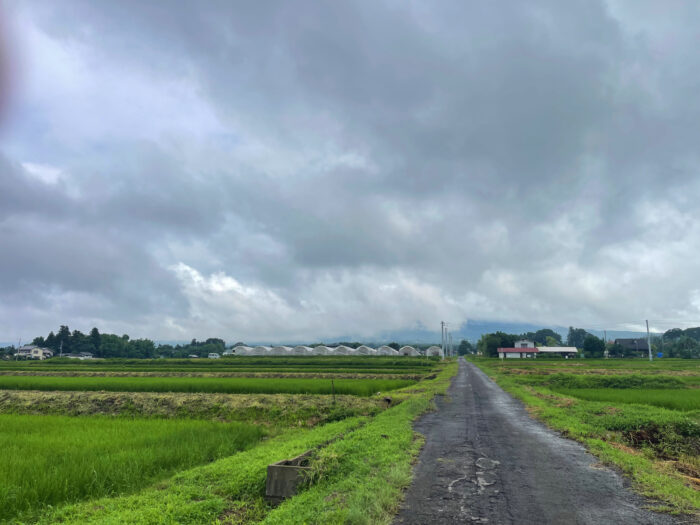 7月14日(月) AM 8:41 前橋市苗ケ島町