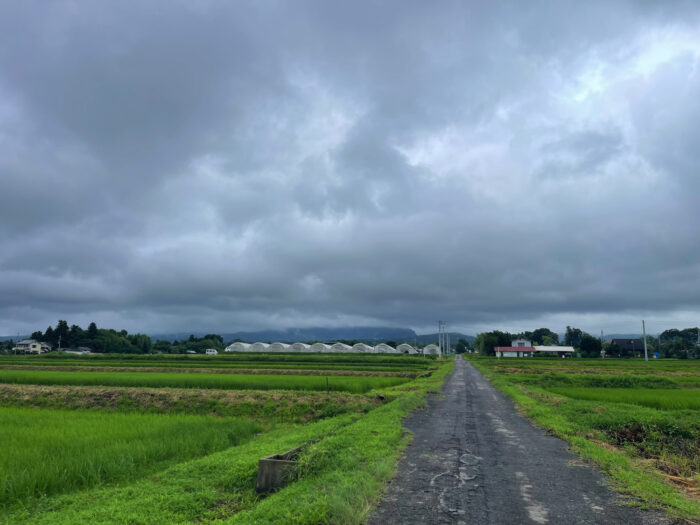 7月15日(火)　AM 9:36　前橋市苗ケ島町