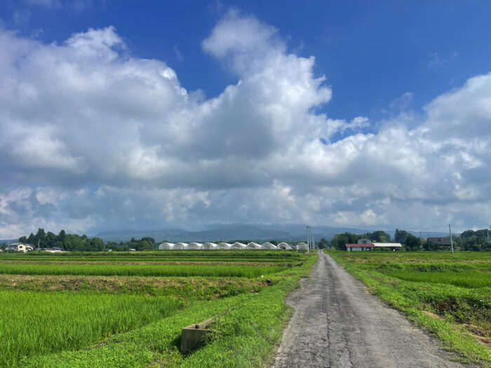 7月16日(水)　AM 8:44　前橋市苗ケ島町