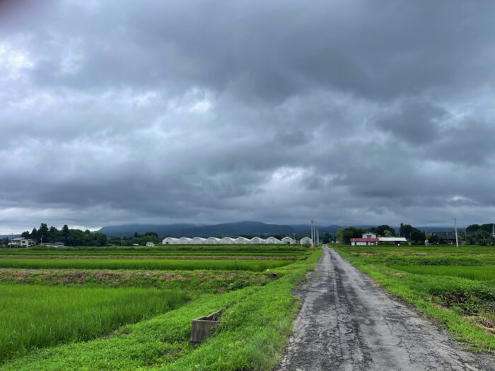 7月17日(木)　AM 9:11　前橋市苗ケ島町