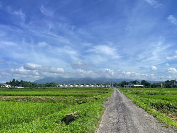 7月18日(金)　AM 8:25　前橋市苗ケ島町