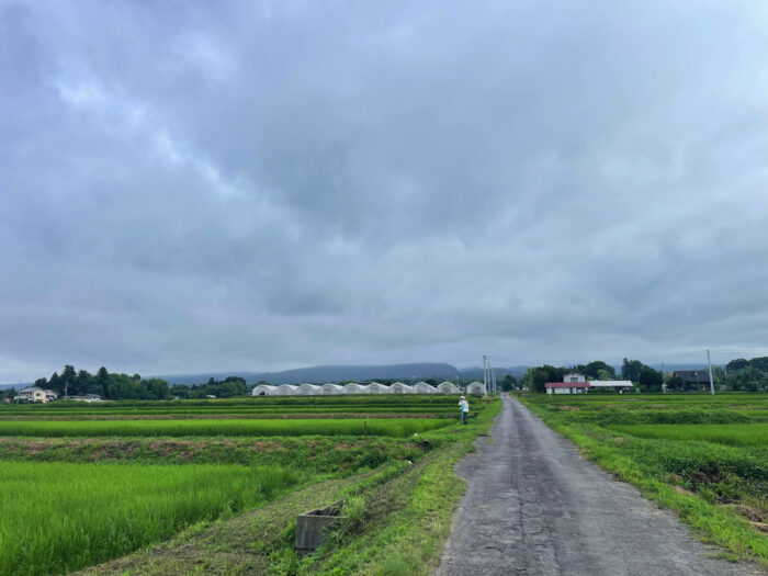 7月19日(土)　AM 6:44　前橋市苗ケ島町