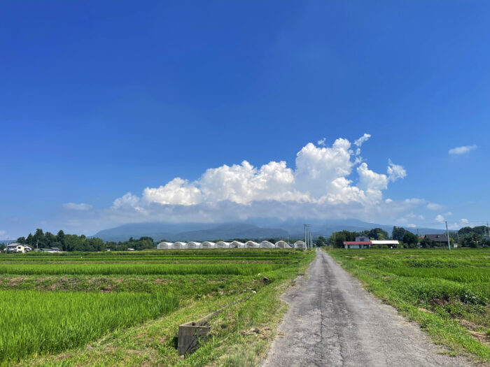 7月21日(月)　AM 9:34　前橋市苗ケ島町