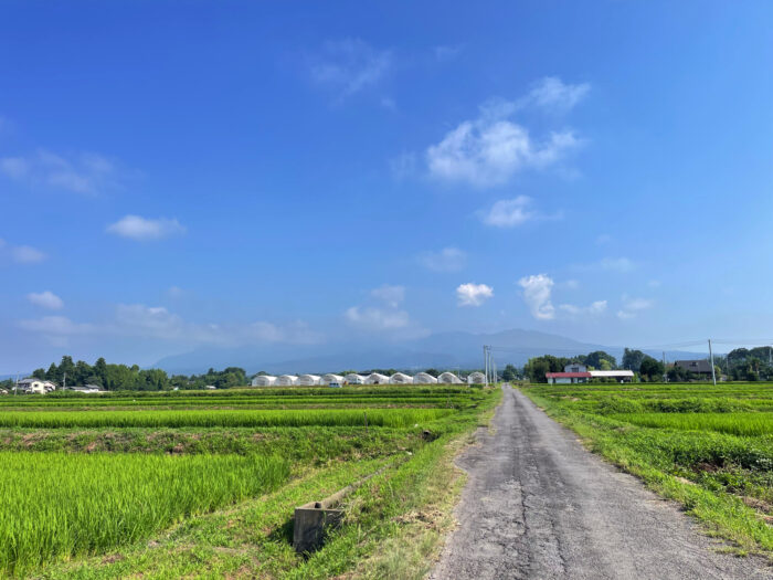 7月22日(火)　AM 8:20　前橋市苗ケ島町