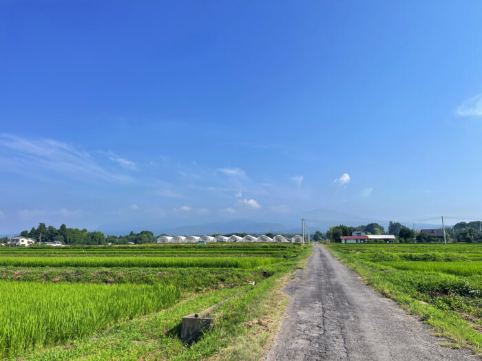 7月23日(水)　AM 8:13　前橋市苗ケ島町