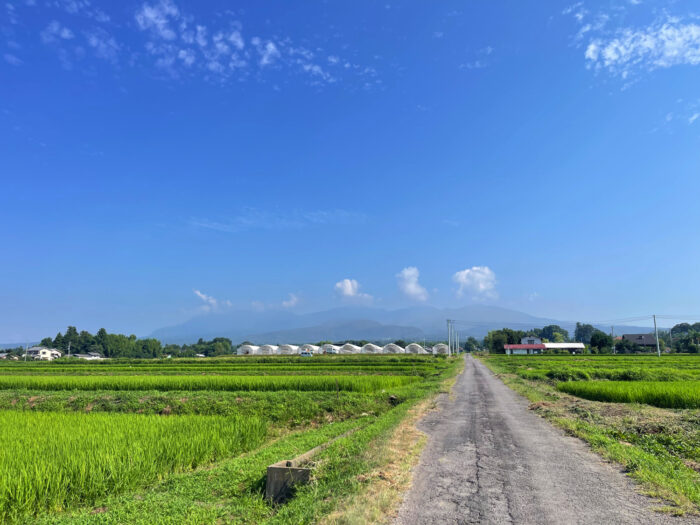 7月25日(金)　AM 8:22　前橋市苗ケ島町