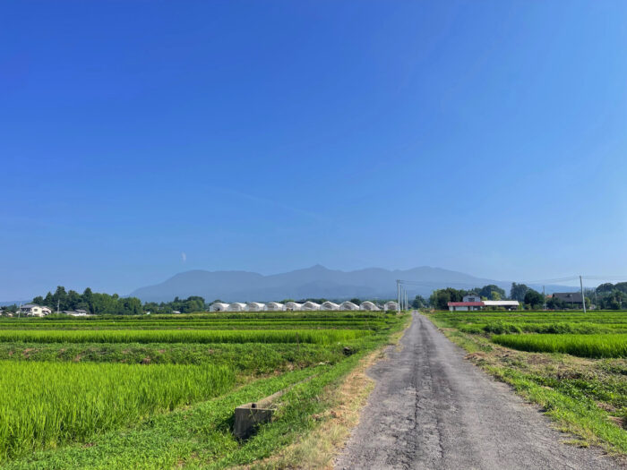 7月26日(土)　AM 8:16　前橋市苗ケ島町