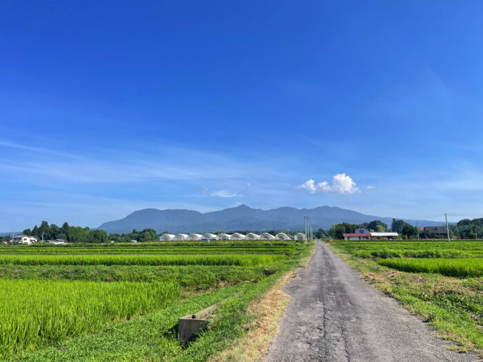 7月28日(月)　AM 8:17　前橋市苗ケ島町