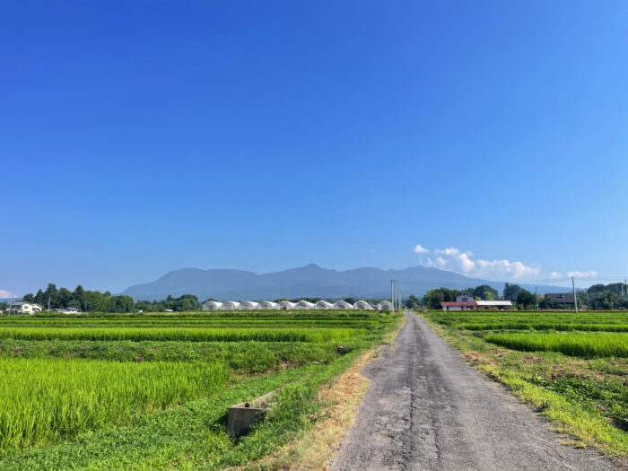 7月29日(火)　AM 8:07　前橋市苗ケ島町